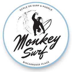 Monkey Surf | École de Surf à Biscarrosse | Cours de surf et paddle | Camping Campéole Plage Sud